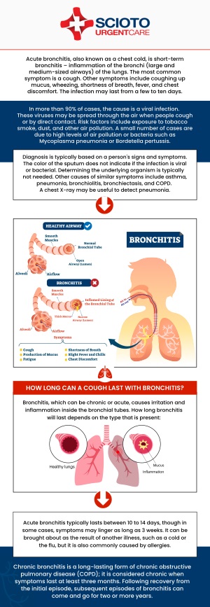 Common questions asked by patients: What is bronchitis and what causes it? What are the symptoms of bronchitis? Can urgent care treat bronchitis? How is bronchitis diagnosed? Is bronchitis contagious? If you're suffering from bronchitis in Columbus, OH, Dr. William Rothe, M.D., at Scioto Urgent Care is here to provide treatment. He offers comprehensive care for both acute and chronic bronchitis, ensuring prompt relief and recovery. With his experience and dedication, you'll receive the right treatment to manage symptoms and promote healing. For more information, contact us now or book an appointment. We are conveniently located at 4760 Sawmill Road Columbus, OH 43235. We serve patients from Columbus OH, Dublin OH, Upper Arlington OH, Hilliard OH, Worthington OH, and surrounding areas. Common questions asked by patients: What is bronchitis and what causes it? What are the symptoms of bronchitis? Can urgent care treat bronchitis? How is bronchitis diagnosed? Is bronchitis contagious?
If you're suffering from bronchitis in Columbus, OH, Dr. William Rothe, M.D., at Scioto Urgent Care is here to provide treatment. He offers comprehensive care for both acute and chronic bronchitis, ensuring prompt relief and recovery. With his experience and dedication, you'll receive the right treatment to manage symptoms and promote healing. For more information, contact us now or book an appointment. We are conveniently located at 4760 Sawmill Road Columbus, OH 43235. We serve patients from Columbus OH, Dublin OH, Upper Arlington OH, Hilliard OH, Worthington OH, and surrounding areas.